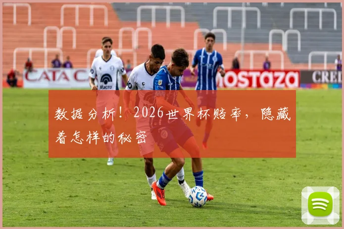 数据分析！2026世界杯赔率，隐藏着怎样的秘密