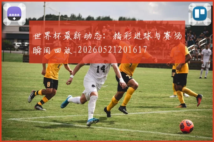 世界杯最新动态:精彩进球与赛场瞬间回放_20260521201617